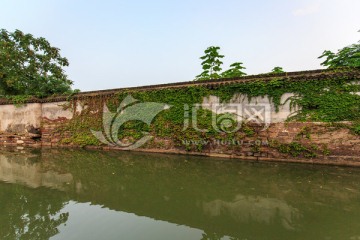 苏州平江路流水白墙爬山虎