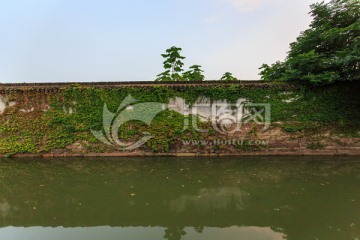 苏州平江路流水白墙爬山虎