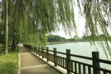 湖边风景