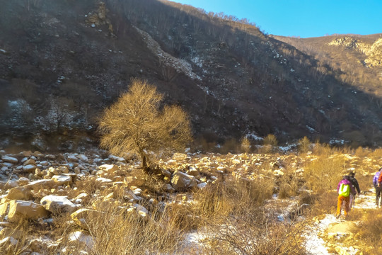 大青山冬景