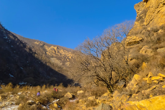 大青山冬景