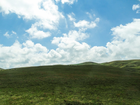 高山牧区