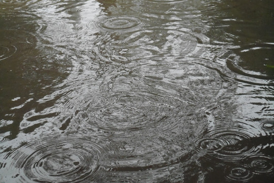 落雨的水面