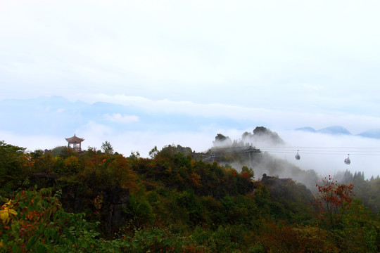 云山雾海  森林植被
