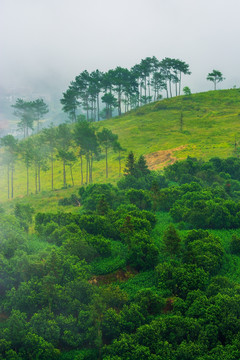 山野