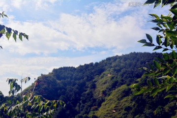 青山白云