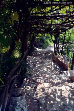 山间小路