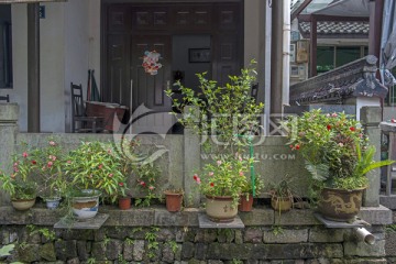 龙井村