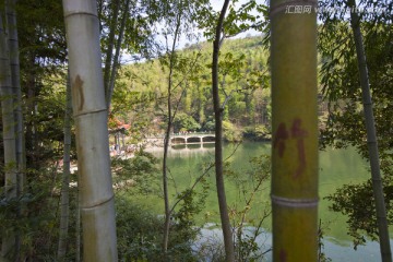 宜兴竹海风景区