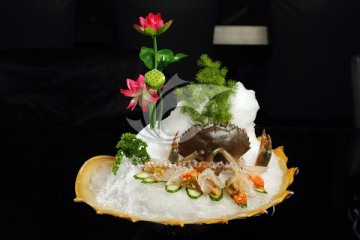 红母鲟
