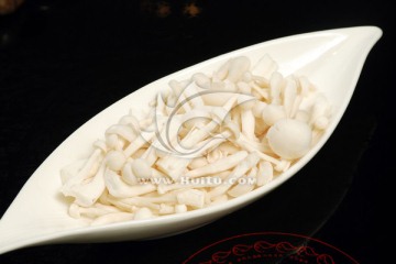 秀珍菇