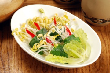 黄豆芽