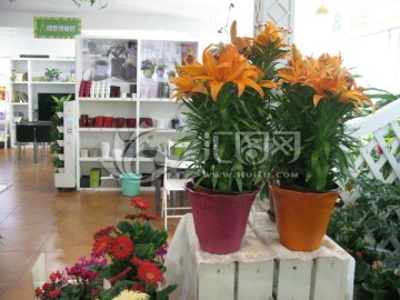 鲜花店