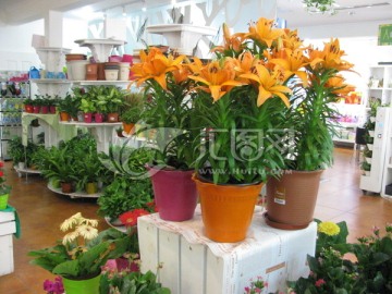 鲜花店