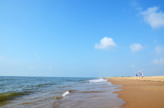 大海