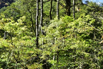 四川甘孜州燕子沟风光