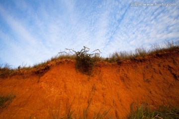 红土