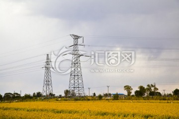 稻田里的电塔