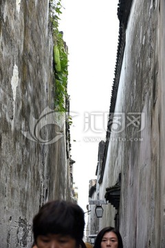 乌镇街道
