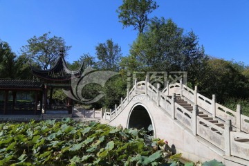 石桥