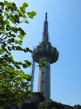 岳麓山电视塔