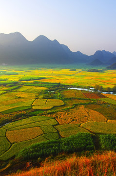 秋天 秋天风景