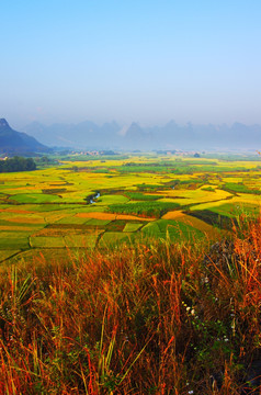 秋天 秋天风景