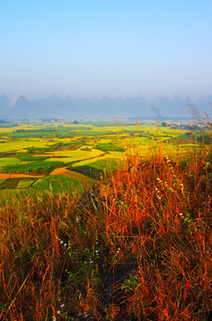 秋天 秋天风景