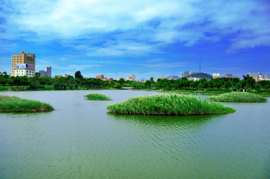 水中绿岛