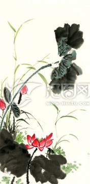国画荷花