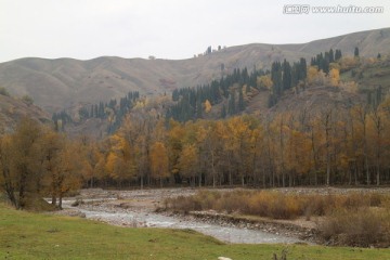 层林尽染山区美