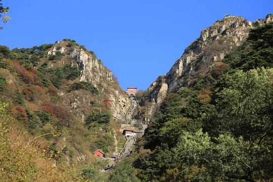 泰山风景