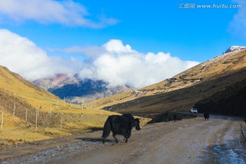 西藏类乌齐风光
