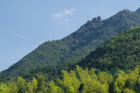 山峰竹林