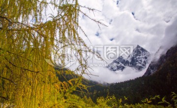 毕棚沟深山雪景