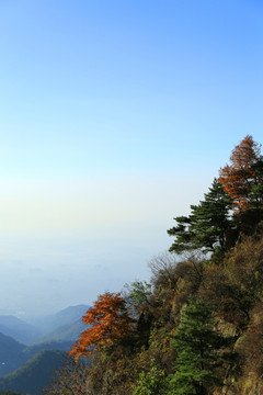 泰山风景