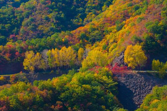 燕山秋色