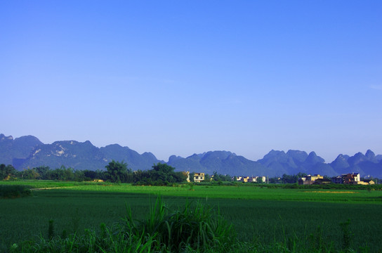 田园 乡村