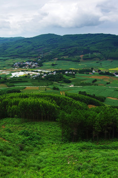 自然风景 丘陵