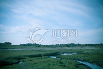 草原