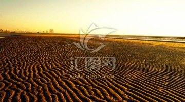 东戴河
