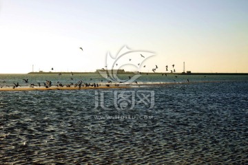 东戴河