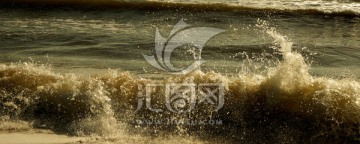 东戴河