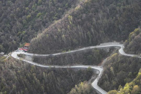 百花山山路