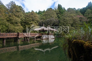 阿里山风景区