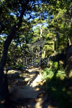 盘山风景