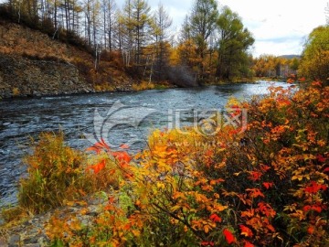 秋季的河流与红叶