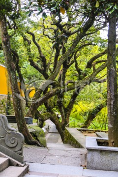 普济寺