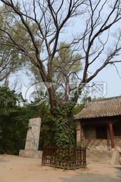 景阳冈山神庙