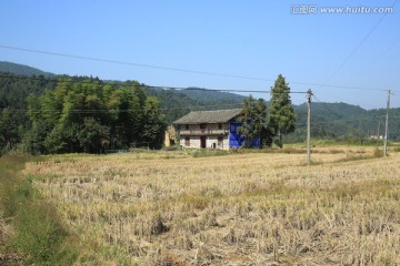 乡村小景